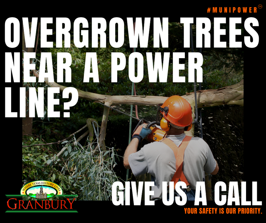 Overgrown Trees Near Powerline Graphic