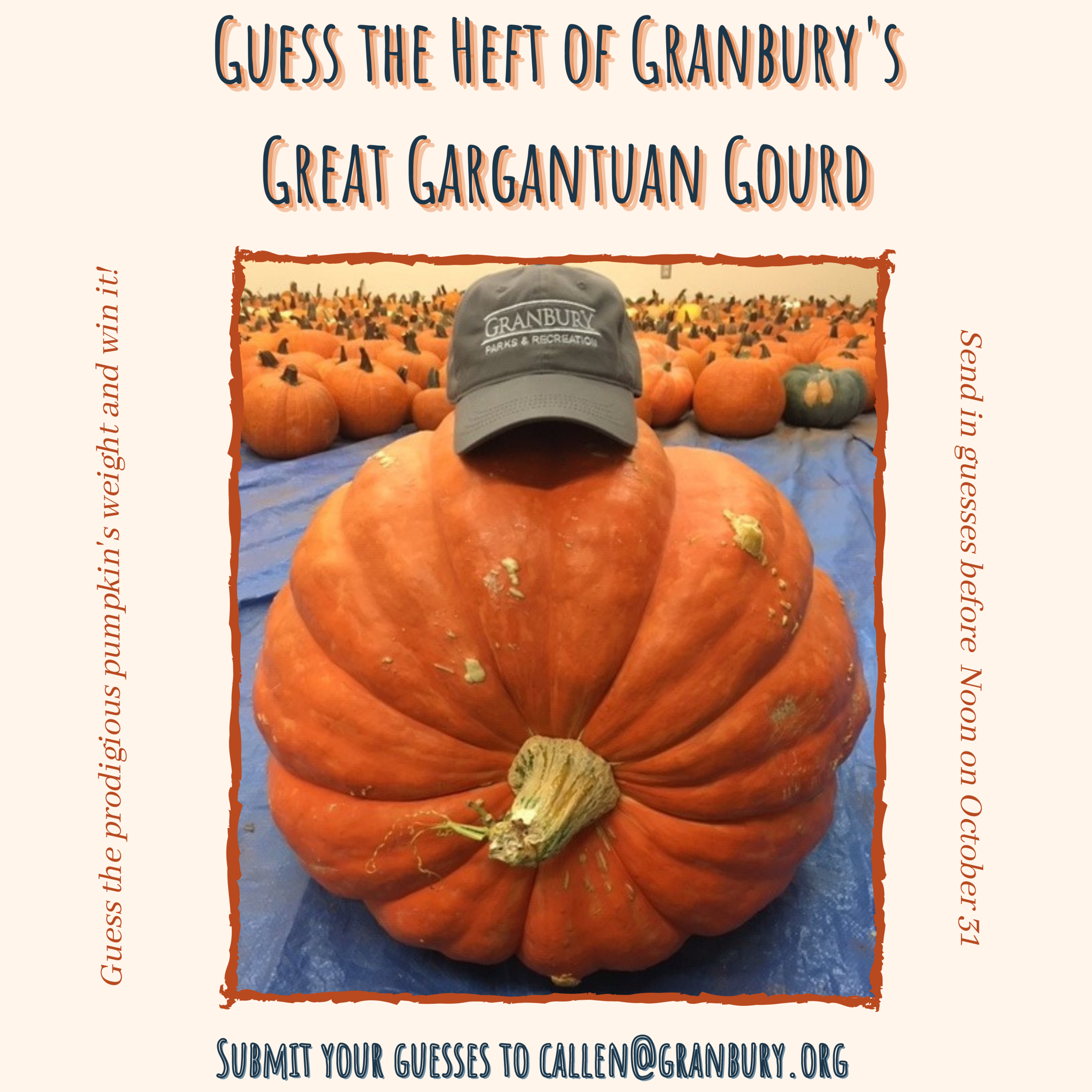 Pumpkin guessing photo 3